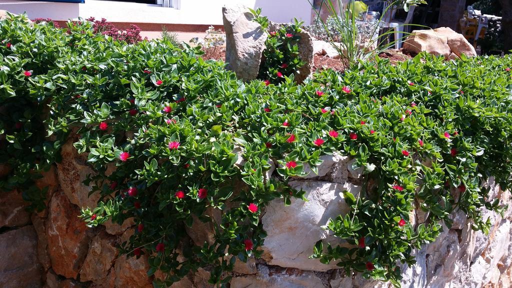 Beach House Adriana Holiday home Lun (Pag)