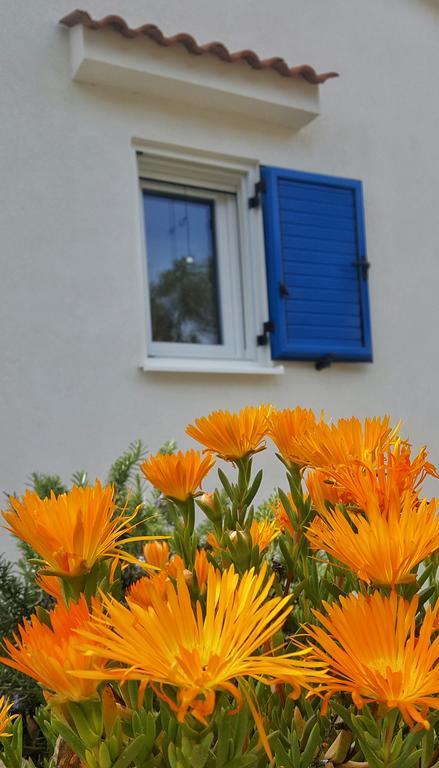 Beach House Adriana Holiday home